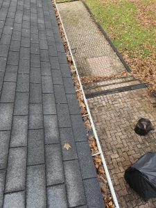 Gutter Cleaning